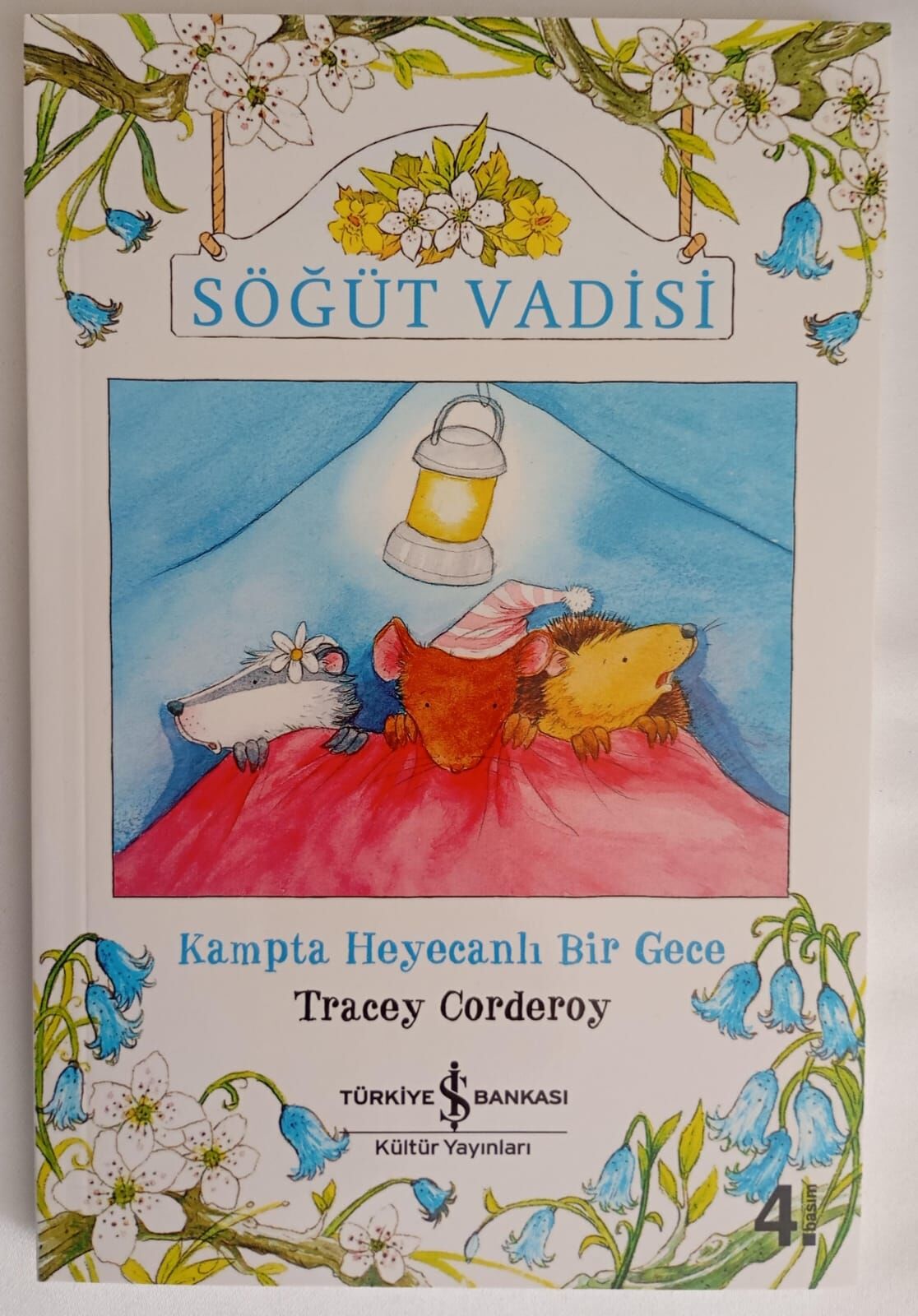 Tracey Corderoy,Söğüt Vadisi 2 (Kampta Heyecanlı Bir Gece)