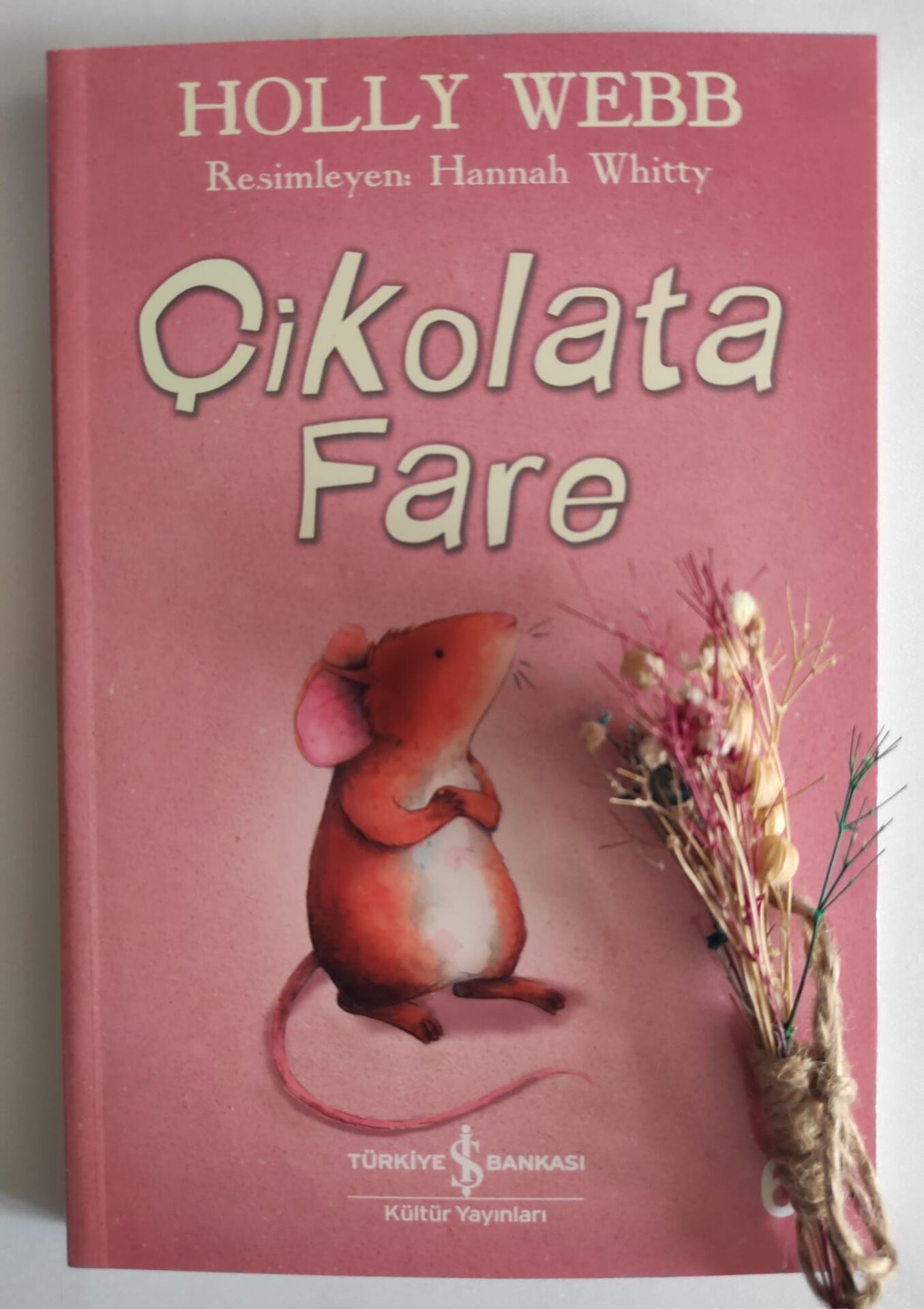 Holly Webb,Çikolata Fare