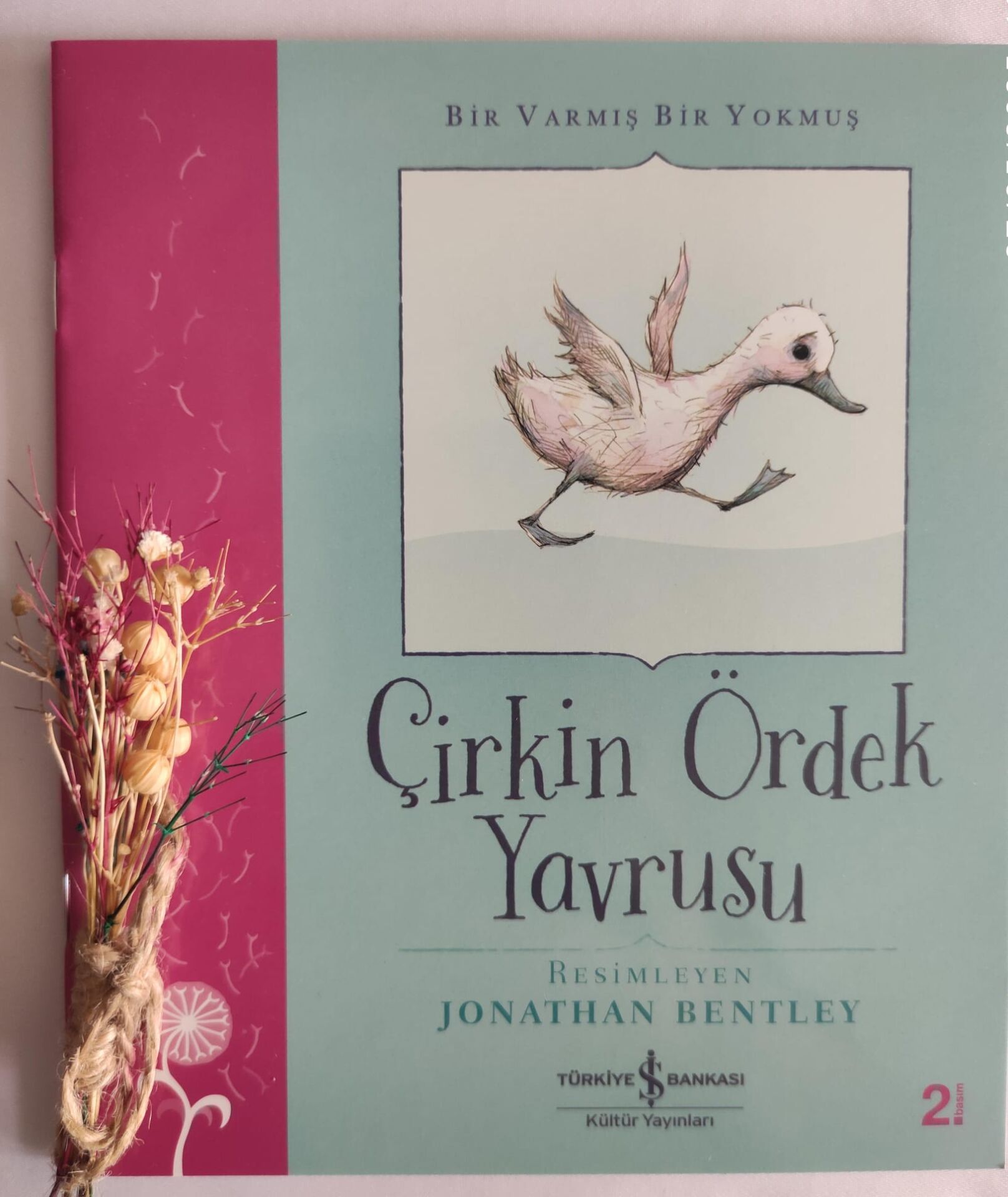Grimm Kardeşler,Çirkin Ördek Yavrusu